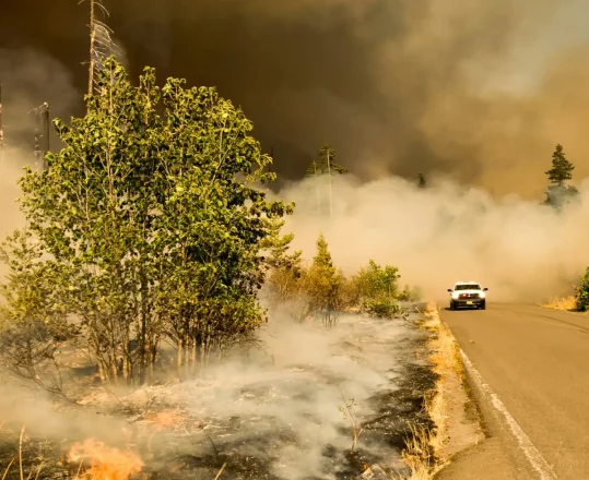 a truck driving through a forest fire