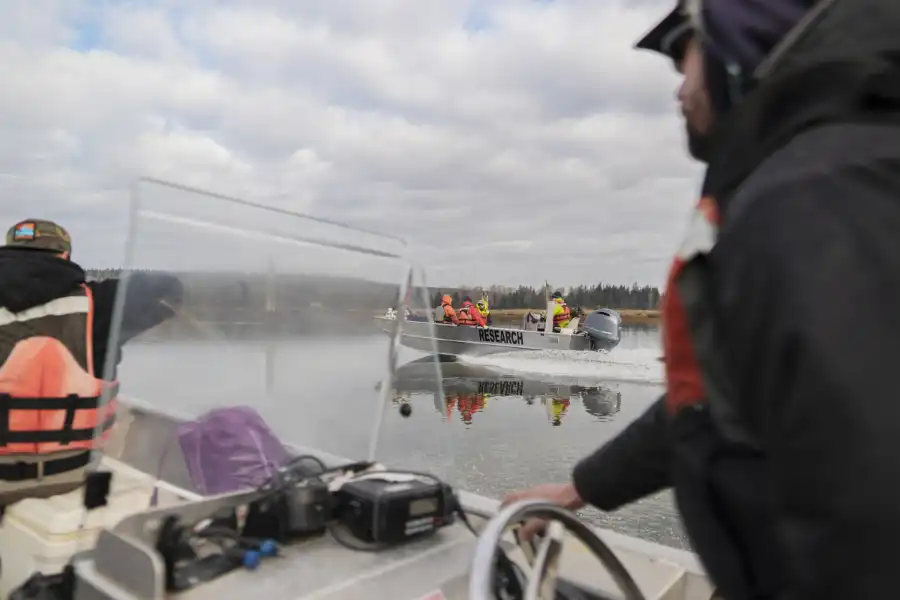 salmon conservationists surveying by boat